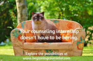 InternshipCat